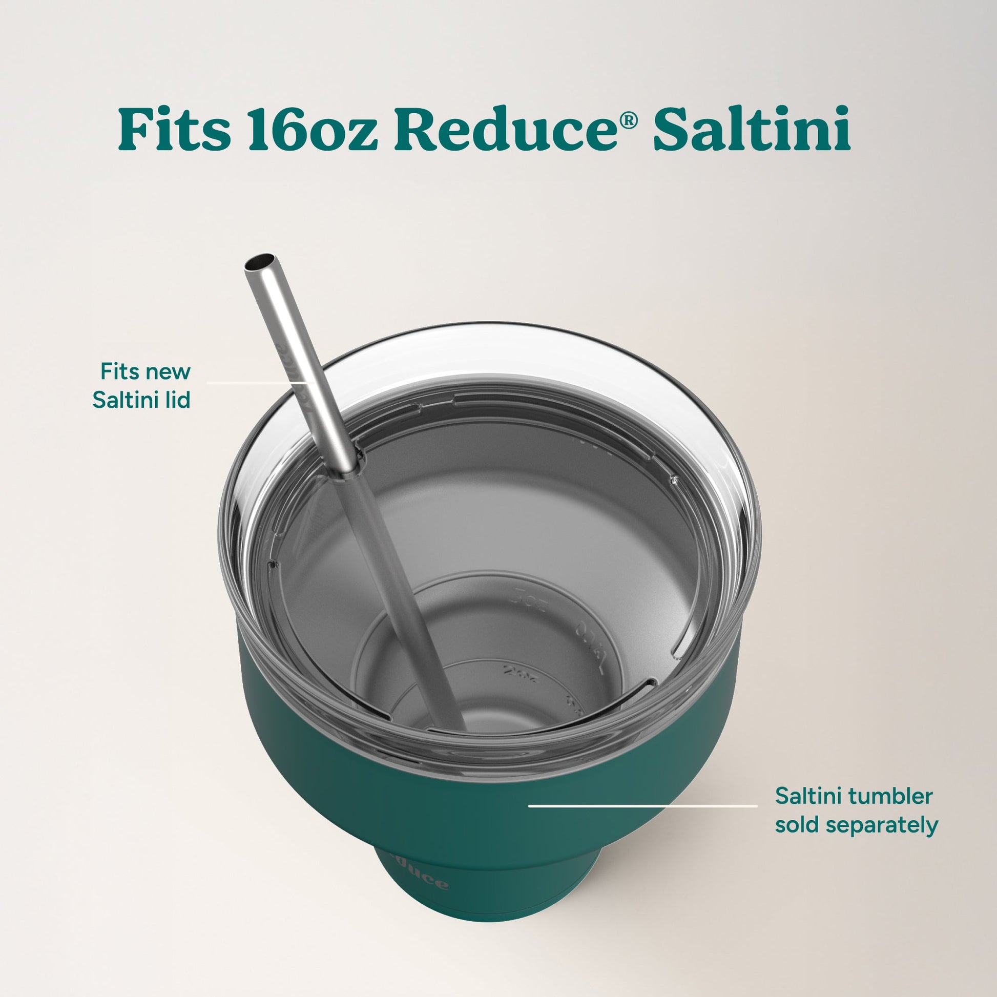 saltini-straw-set-z8 4PK_SaltiniStraws_SS-4.jpg
