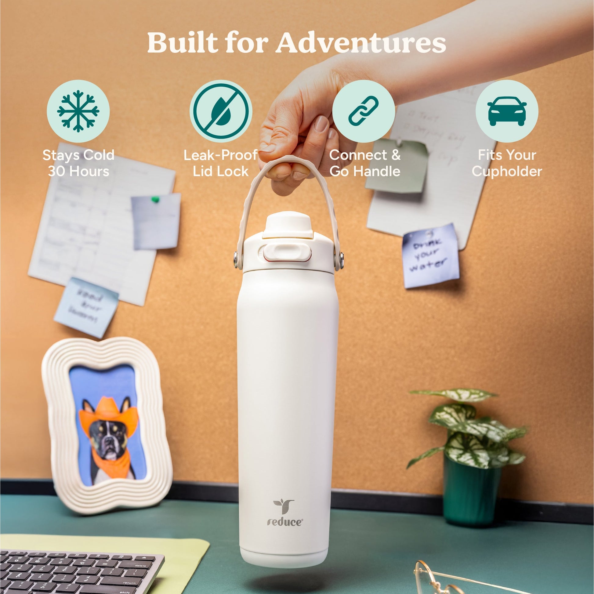 aura-26-oz-x2 Aura_26oz_Unbleached_PDP_Infographic_1.jpg