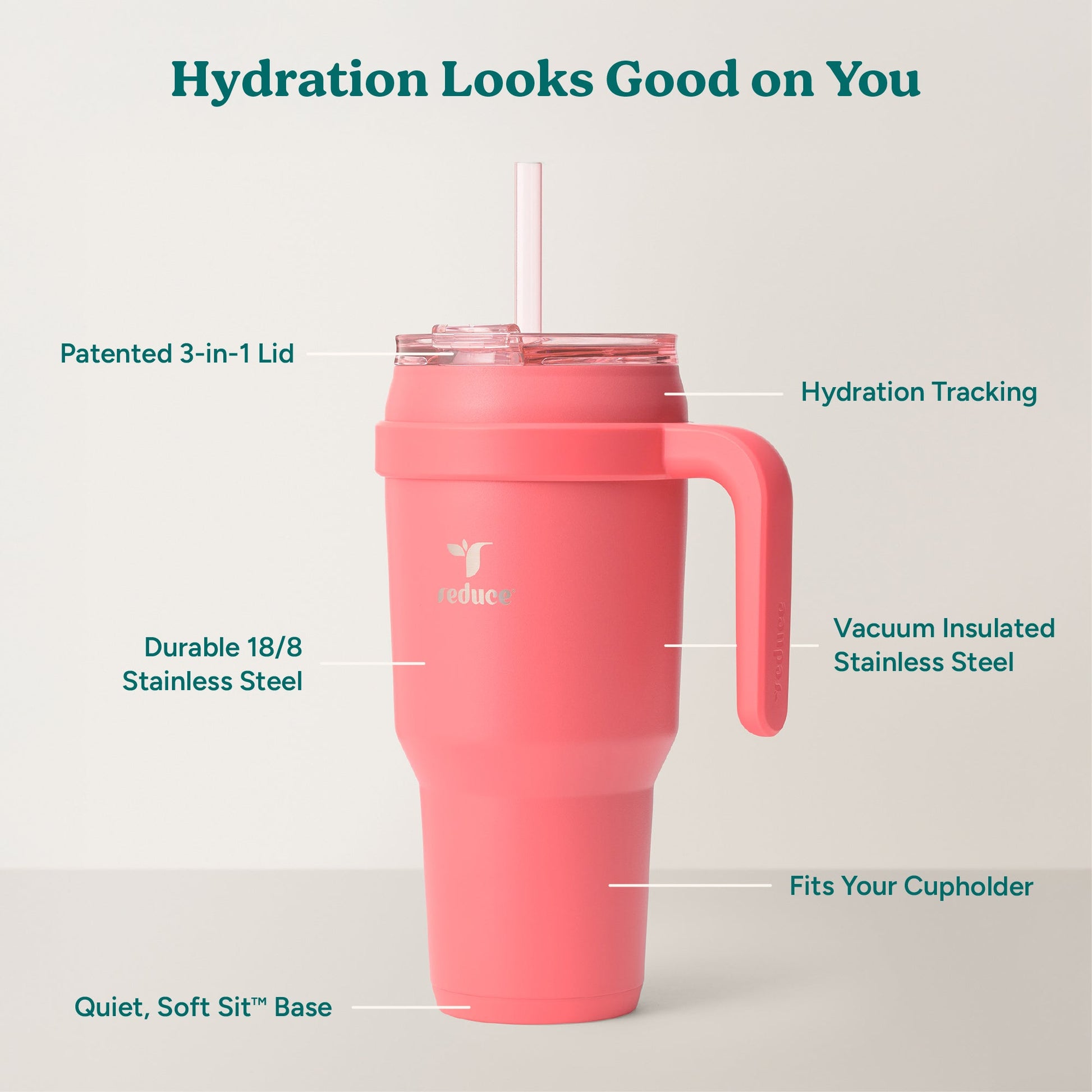 cold1-40-oz-s4 Cold1_40oz_Daiquiri_Infographic_2.jpg