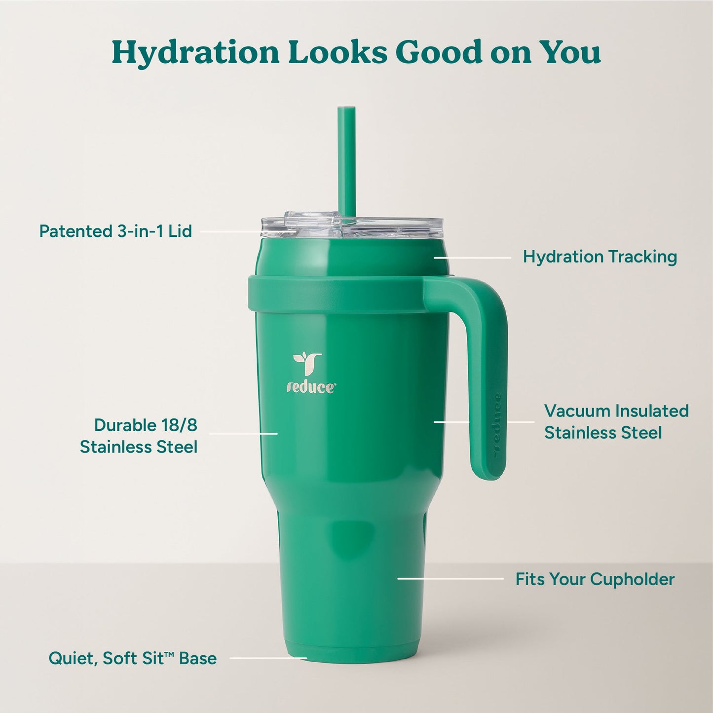 cold1-40-oz-s4 Cold1_40oz_PalmLeaf_Infographic_2.jpg