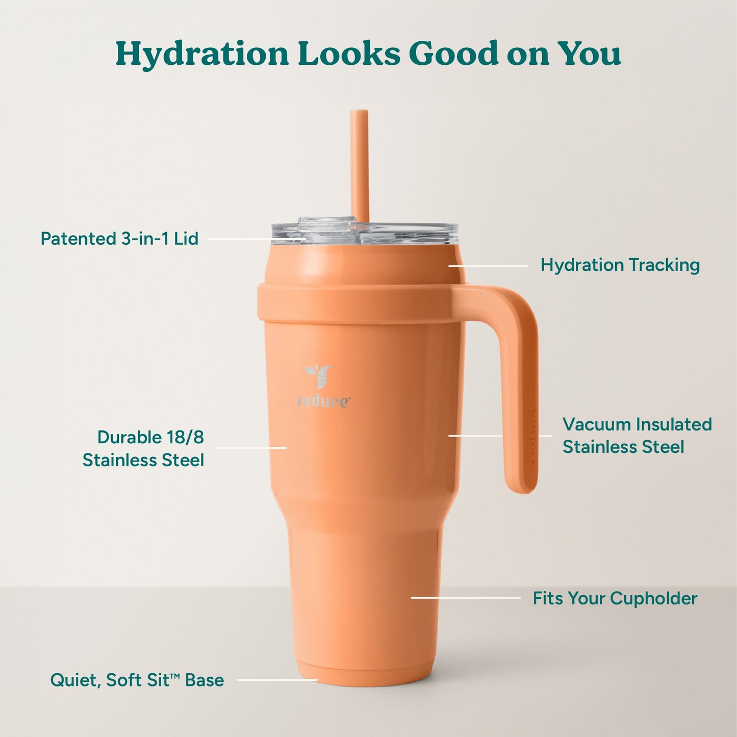 cold1-40-oz-s4 Cold1_40oz_Papaya_Infographic_2.jpg