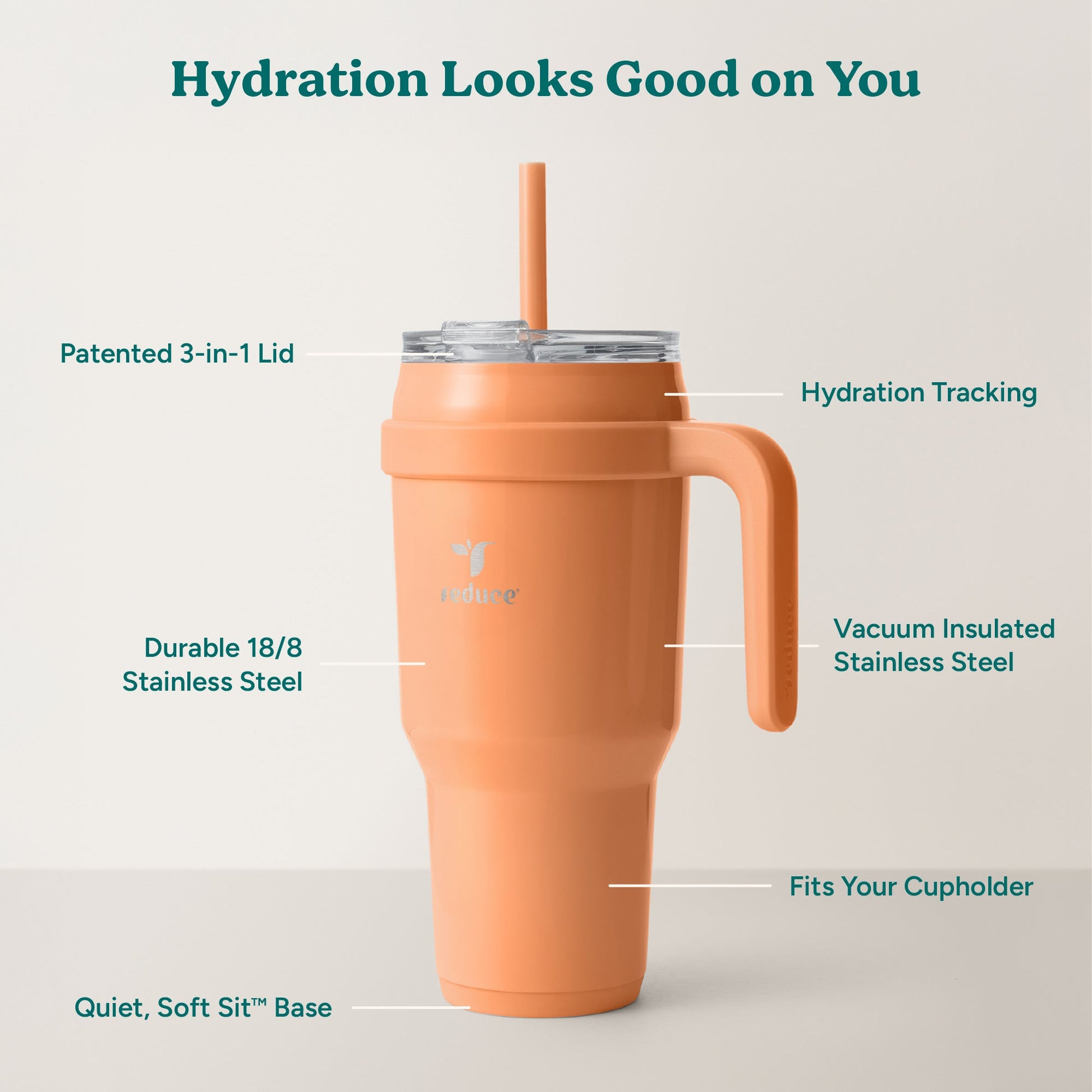 cold1-40-oz-s4 Cold1_40oz_Papaya_Infographic_2.jpg